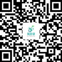 风铃草二维码